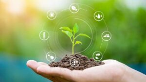 USDA Announces More Than $146M Investment in Sustainable Agricultural Research
