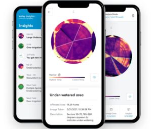 Valley Insights