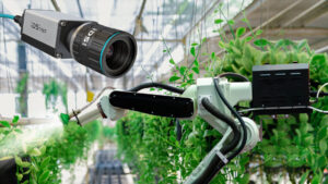 Let artificial intelligence transform agriculture