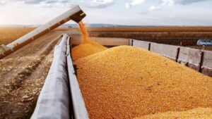 For Seed and Ag Retailers, a Classic ‘Good News/Bad News’ Scenario in 2021