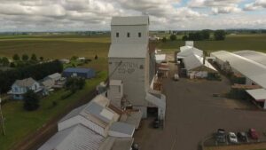 The Four Key Pillars of a Successful Digital Strategy in Ag Retail