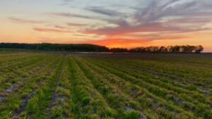 AgriThority Experts to Present at the NAICC Annual Meeting This Month