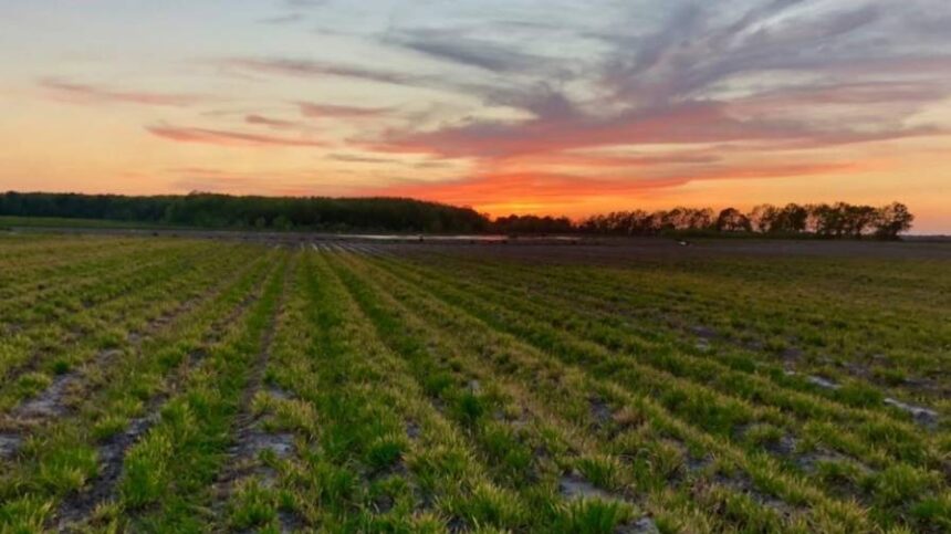 The Field Is Both Familiar and New for Ag Professionals