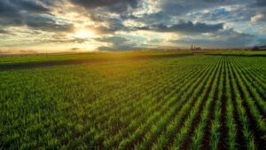 How COP26 Methane and Carbon Pledges Will Impact Agriculture