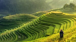 Bayer Makes US$160 Million Commitment to Zero Hunger Pledge