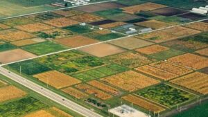 Emerging Technology Detects Crop Nitrogen with High Accuracy