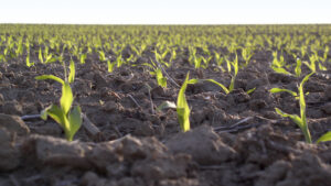 2022 Sustainable Agronomy Conference Virtual-Event Series Kicks Off in July