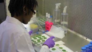 Biopesticides Rebound in a Post-COVID World