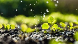 Biologicals Gaining Some More Traction