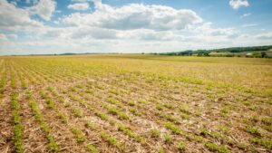 New Truterra and AGI Pilot Puts Ag Retailers at the Center of Helping Automate, Streamline Data Entry