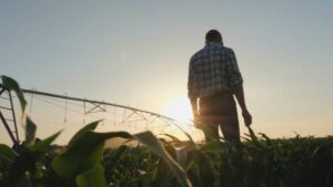Growing the Next Gen of Ag Leaders