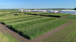 Bayer Features Breakthrough Innovations, Sustainable Solutions at Technology Showcase