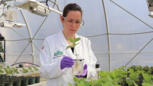 Manufacturers of Biological Crop Solutions Continue to Innovate and Bring New Products to Market