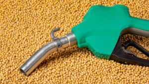 The Changing Agribusiness Environment: New Constituents, New Alliances