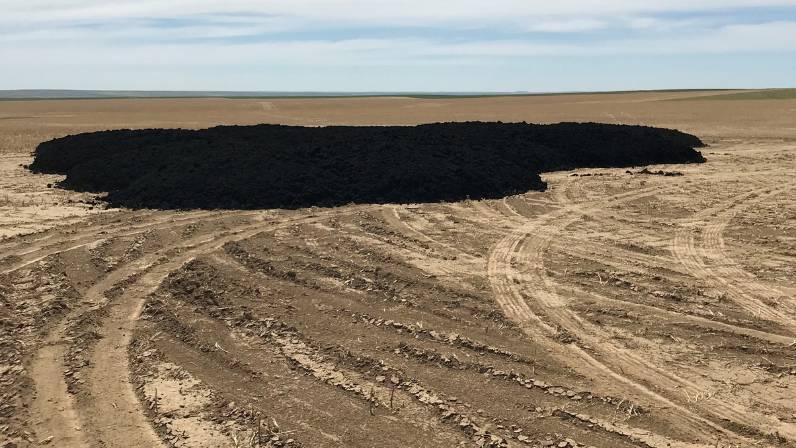 Biosolids delivered to a field to be spread over the land so they can provide valuable nutrients to soil and plants. Biosolids supply crops, such as wheat and corn, with more of the mineral, zinc. Credit: Jim Ippolito