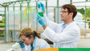 Syngenta Group Honored as Top Agriculture Employer for Sixth Consecutive Year in 2022 Science Magazine Survey