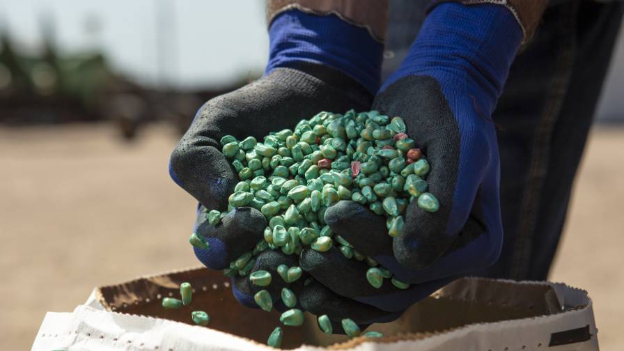 Seed hands