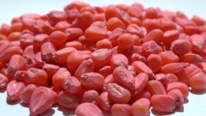 Are Seed Treatments the Next Legal Target for Agriculture?