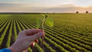 UPL Launches New Bionematicide Seed Treatment to Protect Soybeans from Nematodes in Three Ways