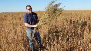 ‘Tsunami of Weed Pressure’ Set to Compound Weed Problems in Years to Come