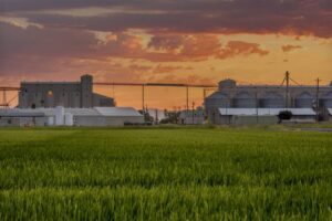 Now: Butte County Rice Growers Association (BUCRA)