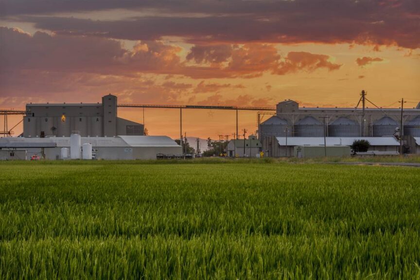 Now: Butte County Rice Growers Association (BUCRA)