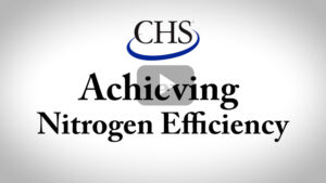Achieving Nitrogen Efficiency