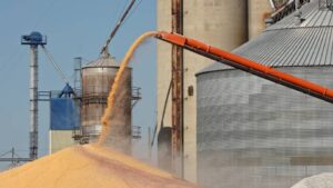 AGI, Boa Safra Ag Team Up to Connect Grain Farms to Expanded Services