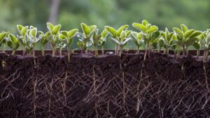 Plenty to Dissect with the 2023 Biologicals Survey Results
