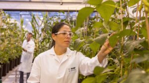 BASF to Run Agricultural Unit As Separate Business