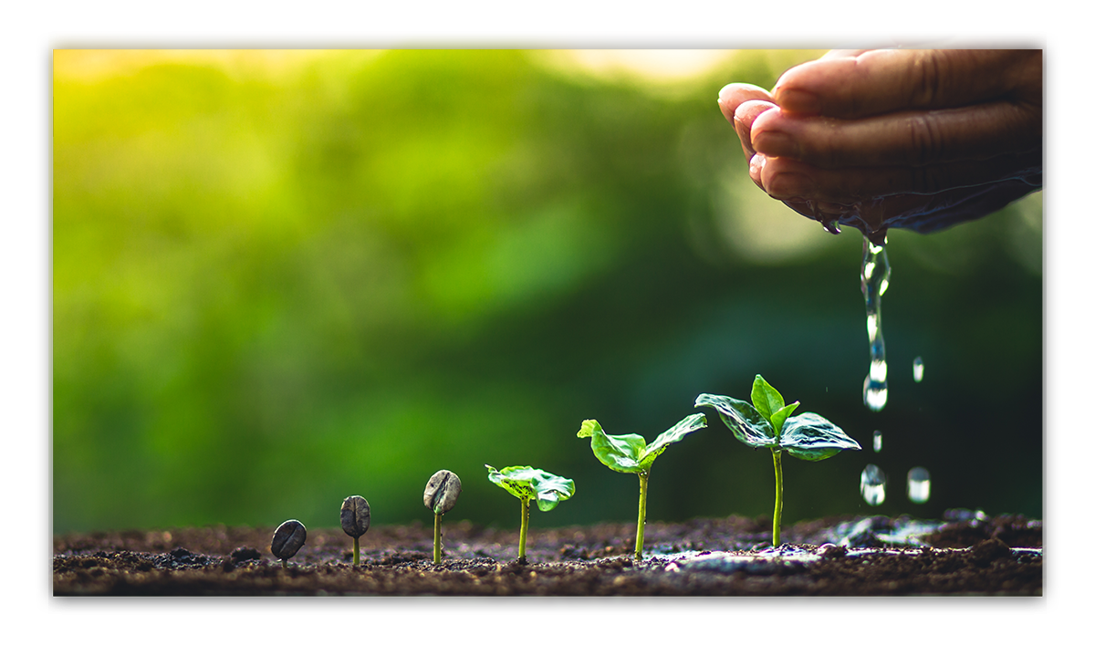 seed-care