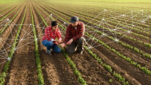 Valent U.S.A. Launches Science-Based Framework to Help Growers Advance Sustainable Agricultural Production