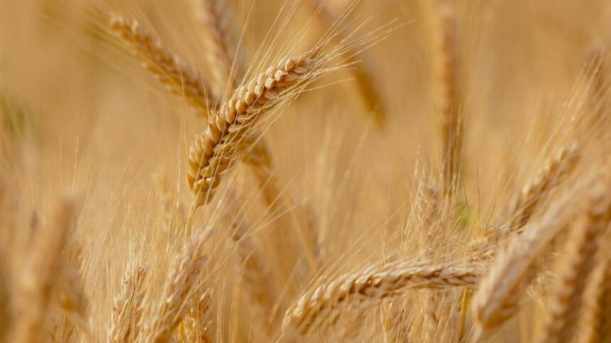 Ag Retailers Need to Heed State Regulations