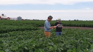 BioLumic and Gro Alliance Scale First UV Light Technology for Corn and Soybeans