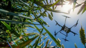 Precision Survey: Ag Dealers Respond to Marketplace Shifts