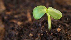 Waypoint Analytical Expands Soil Testing Capabilities to Midwest Farmers with Grand Island, NE, Lab Opening