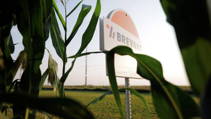 Drought Toughness Tops Season’s Challenges, Ag Retailer Survey Shows