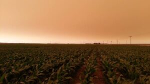 Is Wildfire Smoke Affecting Midwest Crops?