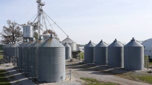 Increase in Fatalities and Injuries from Agricultural Confined Spaces Highlights Need for Effective Management and Training