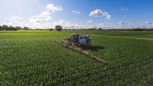 Here’s What Driving Growth in the Micronutrients Market