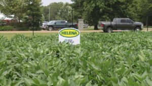 Helena Launches Two Exclusive Soybean Seed Treatments for the 2024 Growing Season