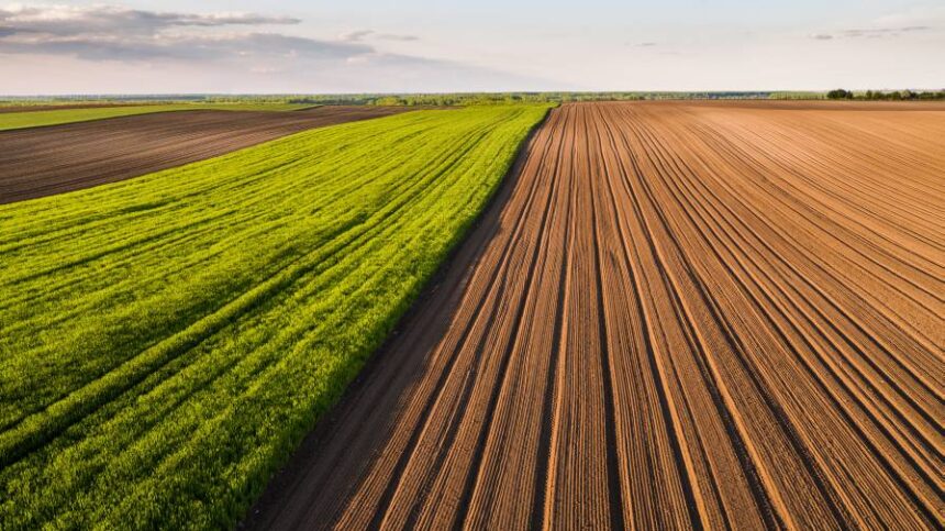 New FNC Land Values Report Reveals ‘Resilient’ Ag Land Market