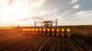 Planting the Seed (Treatments) of Success