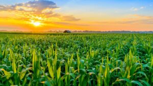 HGS BioScience Acquires Earthgreen Products and Menefee Mining Corp.
