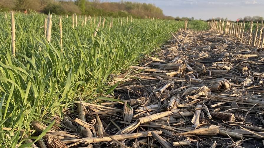 DPH Bio crop residue trial