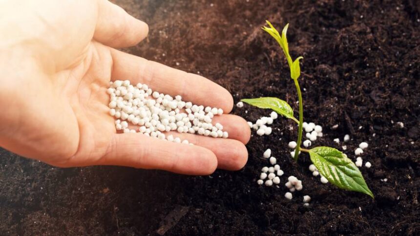 2023 Fertilizer Sales Were a Mixed Bag for Leading Ag Retailers
