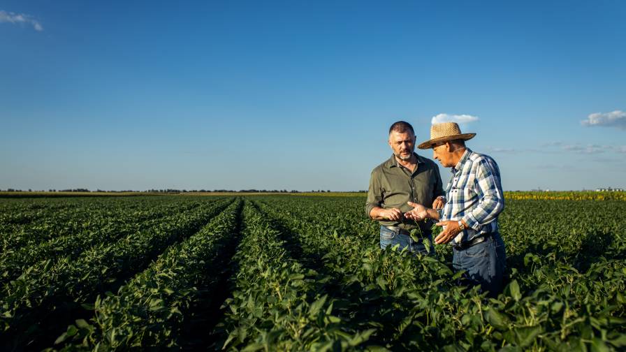 Cultivating Tomorrow