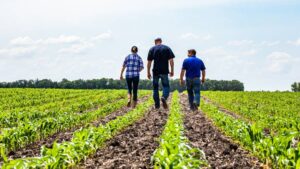 The Need for Nitrogen Stabilizers Is Greater Than Ever