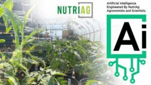 NutriAg Harnessing AI to Optimize Product Development for Crop Nutrition Applications