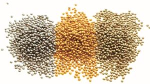 Seed Care Challenges — in the Courtroom and State Capitals